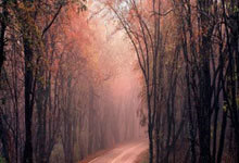 中国足球网比分直播好用吗？怎么看最便捷？